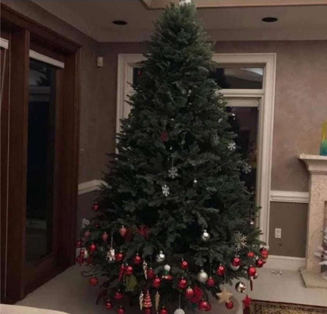 VCtjes's tweet image. Ondertussen heeft ook Wesley Sneijder de kerstboom opgezet.