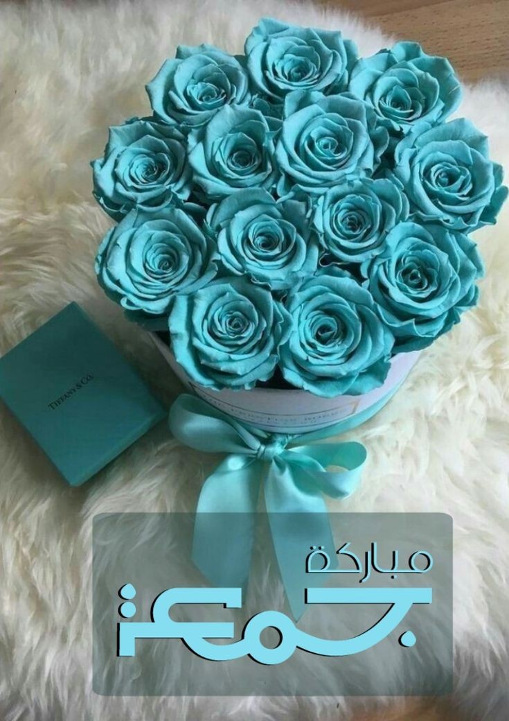 ⚘اطياف راحله⚘ tweet media