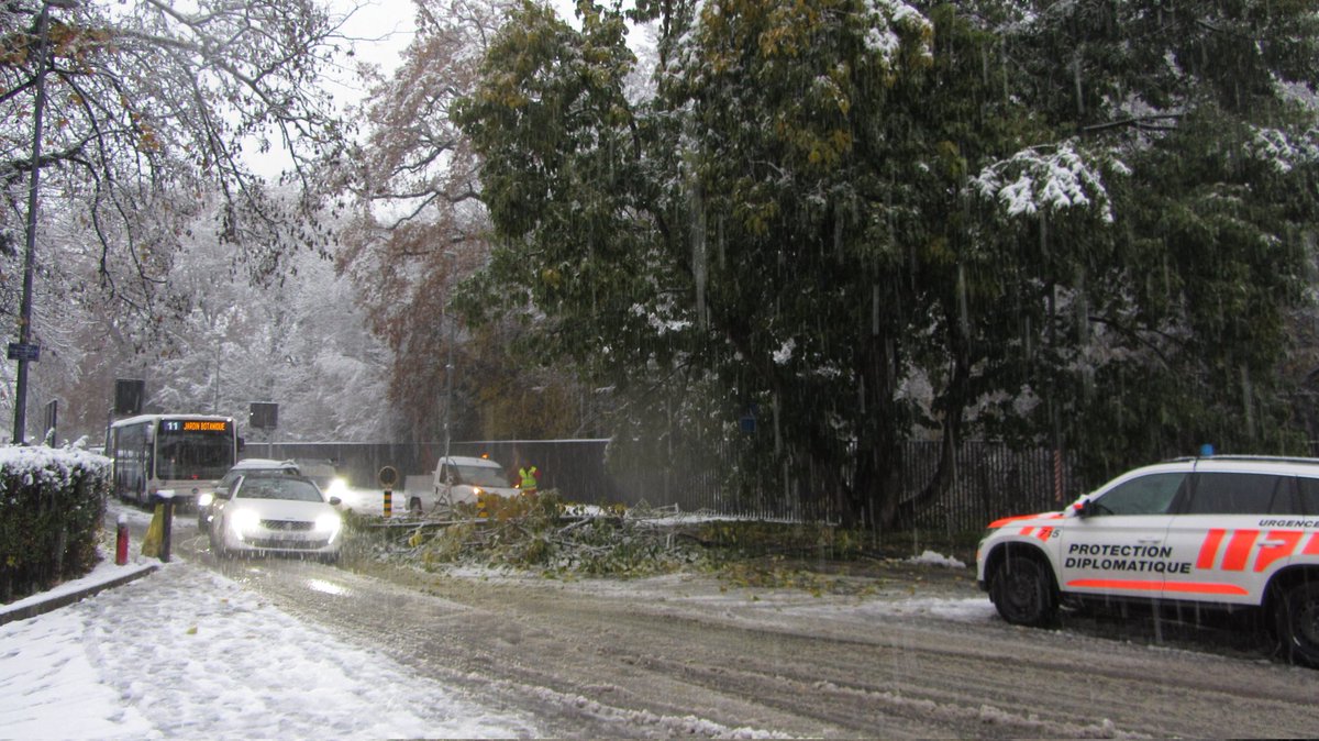 BlogMeteo's tweet photo. Quelques branches cassées ce matin à #Genève suite aux chutes de #neige de la nuit et de la matinée. Couche totale, entre 5 et 10 cm. https://t.co/pTgSQg1WO5