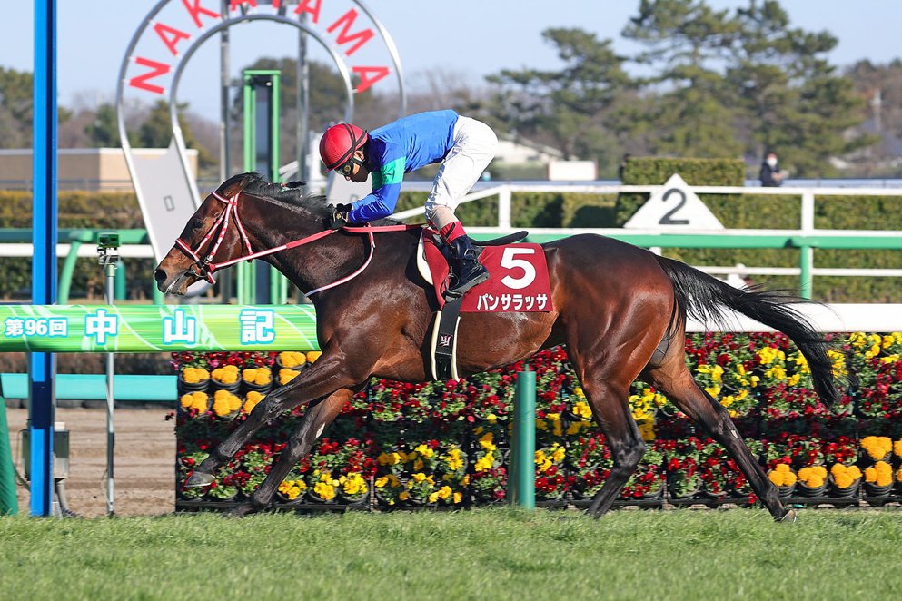 Yahagi hopes for the win as Panthalassa guarantees the show. #パンサラッサ 🎌 #競馬 #HKIR #HKracing 

<a href="/seenthestars/">Scott Burton</a> reports.

Read here 👉 racingnews.hkjc.com/english/2022/1…