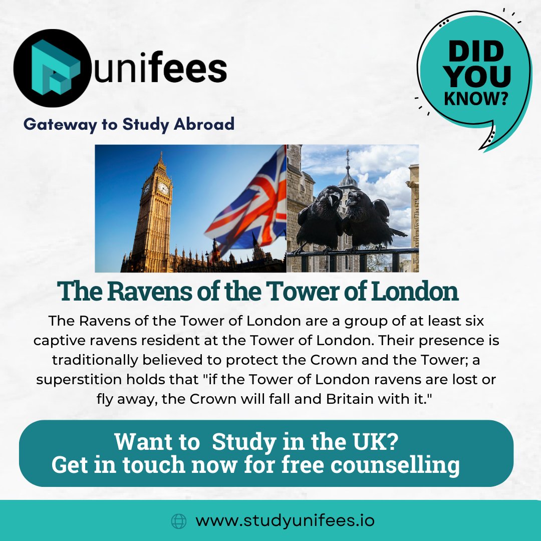 🗼The Ravens of the Tower of #London are a group of at least six captive ravens resident at the Tower of London. Their presence is traditionally believed to protect the Crown and the Tower.

Want to know more about Living and studying in the UK? Visit studyunifees.io

#UK
