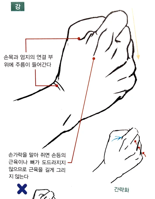 보통 인체 공부할때 데포르메된 자료 피하고 무조건 실사체 참고하란 조언 많은데 별 의미없는듯
데포르메 된 그림 보면서 어떤 부분을 중점으로 강조하고 생략했는지 알아보는것도 재밌음

데즈카 그림에서 주먹 쥐면 검지만 튀어나오는 디테일 같은거 귀엽고 좋음 