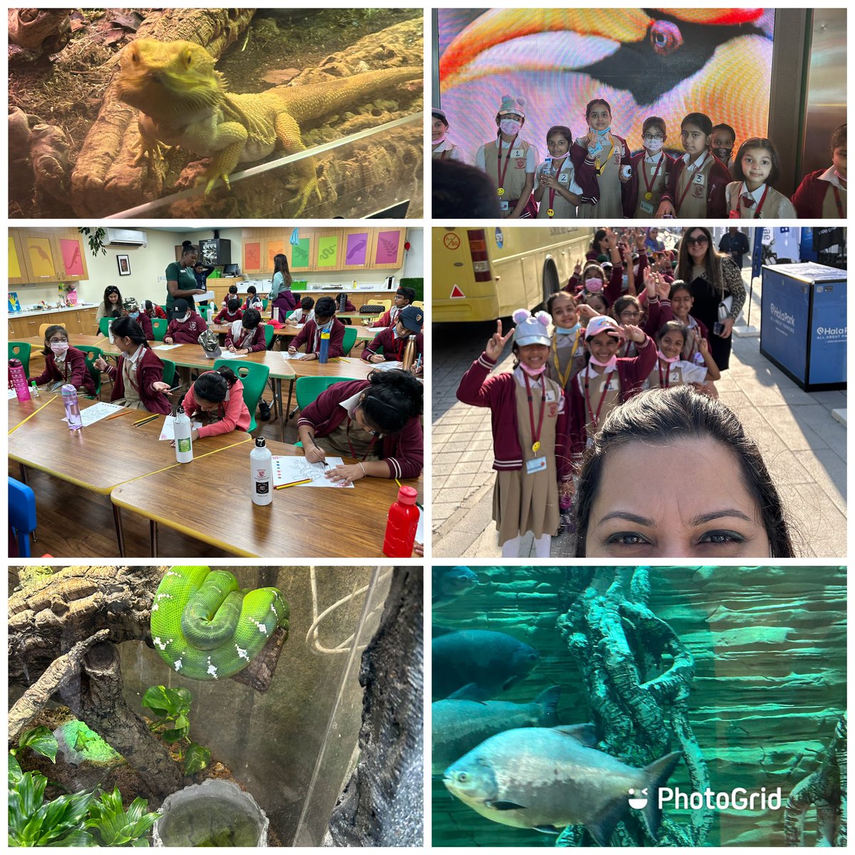 Mita Chatterjee (@mchatterjee_2k) on Twitter photo Gr2E enjoying a day out at The Green Planet, where nature and adventure come together🌳🪵🐝 <a href="/NMSLowerPrimary/">Gen_Alpha@NMS</a> <a href="/Susanna_Porob/">Susanna Porob</a> <a href="/Fatima_Martin/">Fatima Martin</a> Gr2E enjoying a day out at The Green Planet, where nature and adventure come together🌳🪵🐝 <a href="/NMSLowerPrimary/">Gen_Alpha@NMS</a> <a href="/Susanna_Porob/">Susanna Porob</a> <a href="/Fatima_Martin/">Fatima Martin</a>