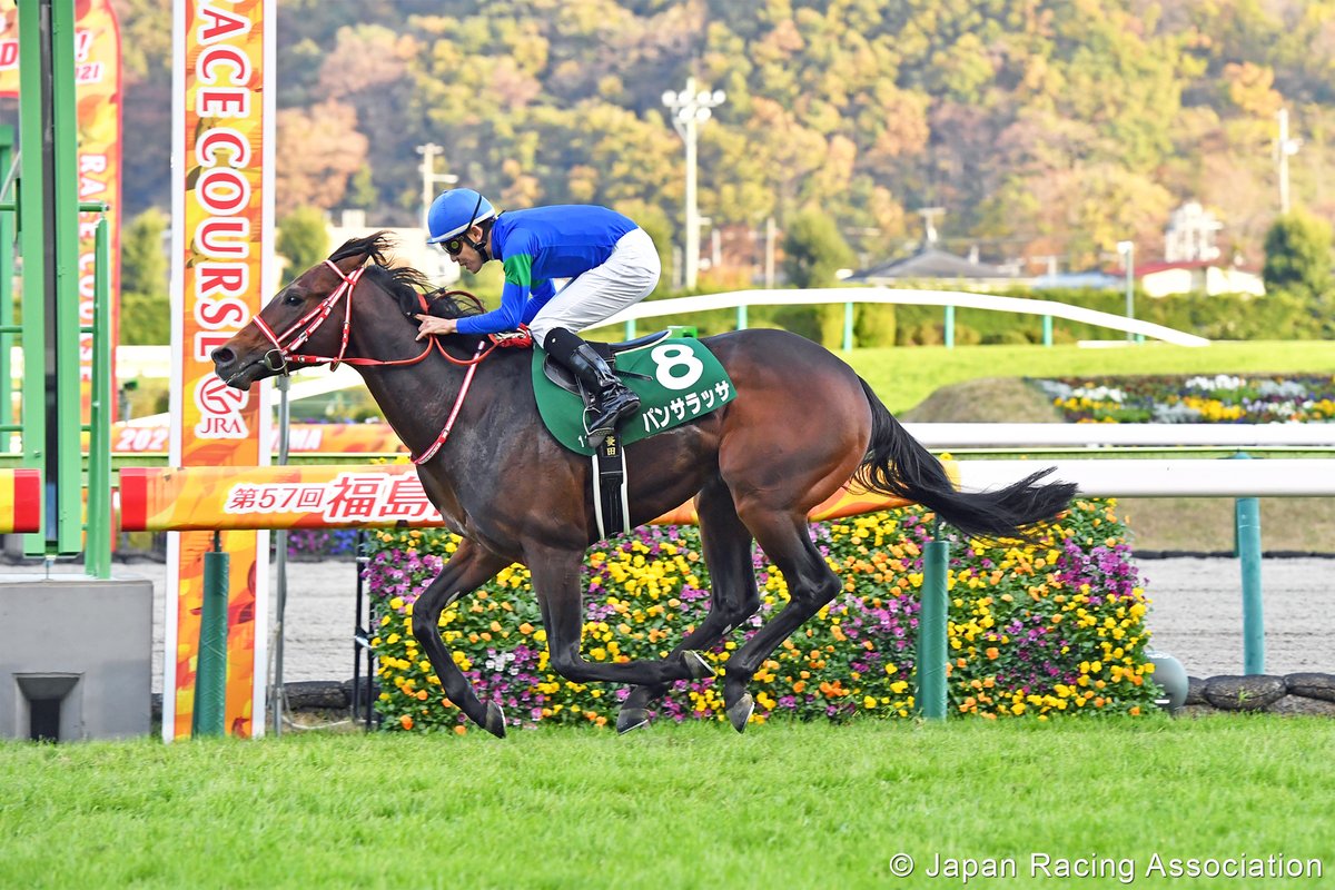 The Land of the Rising Thoroughbred. #競馬 #HKIR #HKracing

Mariko Seki writes.  

Read here 👉 racingnews.hkjc.com/english/2022/1…
