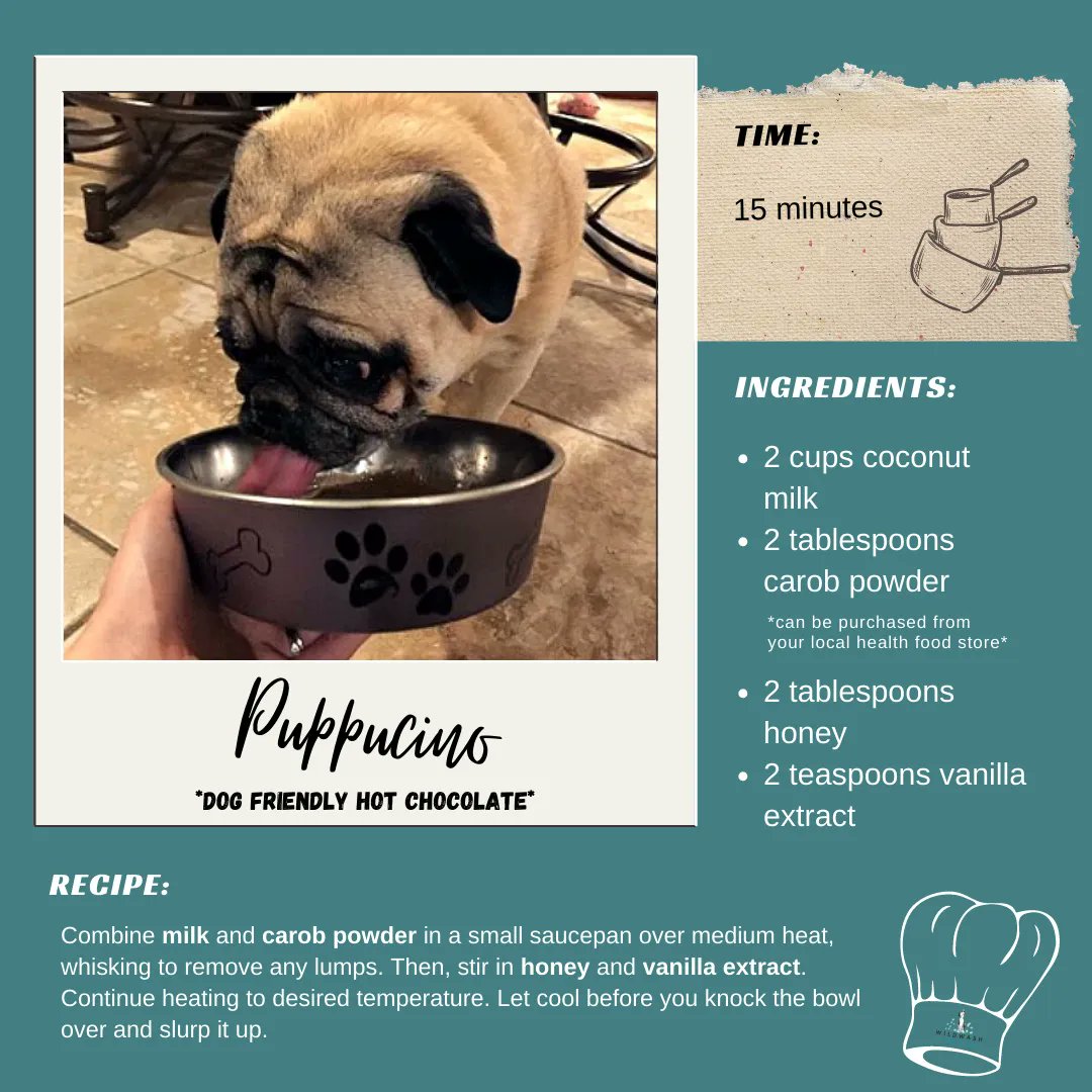 WildWash's tweet photo. DAY 9 - Keep Them Warm โจ๏ธ
Nothing says winter like Hot Chocolate โ
๐ Today we prepared for you an easy dog-friendly Puppuccino recipe for these cold winter nights.
You can even try it yourself! ๐
#wildwash #puppies #puppy #dogsofinstagram #dogs #organicshop https://t.co/nmLccZjV0R