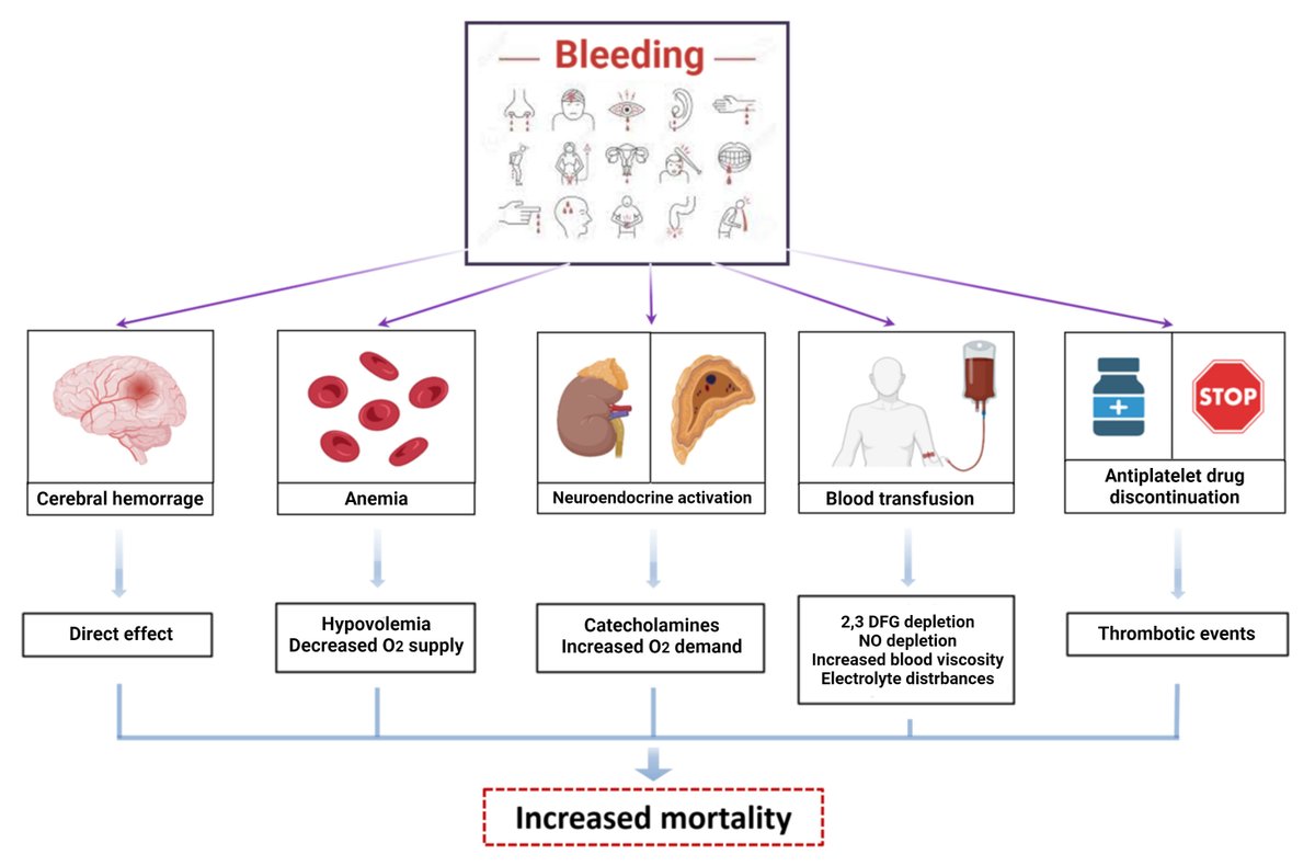 Reviews in Cardiovascular Medicine (@rcmjournal) on Twitter photo #RCM-Special Issue: Antiplatelet Therapy in Cardiovascular Disease (2/5)
Bleeding Complications in Patients Undergoing Percutaneous Coronary Intervention
<a href="/MattiaGalli10/">Mattia Galli</a> <a href="/LaboranteRenzo/">Renzo Laborante</a> <a href="/RoccoVergallo/">Rocco Vergallo</a> <a href="/BURZOTTA_F/">FRANCESCO BURZOTTA</a> <a href="/ehj_ed/">EHJ Editor-in-Chief</a> <a href="/DDamario/">Domenico D'Amario</a>
#PCI #Bleeding
Full text
imrpress.com/journal/RCM/23… #RCM-Special Issue: Antiplatelet Therapy in Cardiovascular Disease (2/5)
Bleeding Complications in Patients Undergoing Percutaneous Coronary Intervention
<a href="/MattiaGalli10/">Mattia Galli</a> <a href="/LaboranteRenzo/">Renzo Laborante</a> <a href="/RoccoVergallo/">Rocco Vergallo</a> <a href="/BURZOTTA_F/">FRANCESCO BURZOTTA</a> <a href="/ehj_ed/">EHJ Editor-in-Chief</a> <a href="/DDamario/">Domenico D'Amario</a>
#PCI #Bleeding
Full text
imrpress.com/journal/RCM/23…