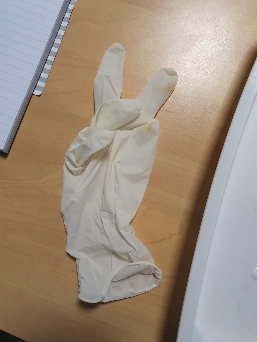 Ciara B. Durcan (@ciaradurcan) on Twitter photo When your gloves accidently go like this, is it a sign for peaceful data collection? 😅
Back in the lab testing fresh, human tissue. Hopefully the results will be out in the not-too-distant future! ✌ When your gloves accidently go like this, is it a sign for peaceful data collection? 😅
Back in the lab testing fresh, human tissue. Hopefully the results will be out in the not-too-distant future! ✌