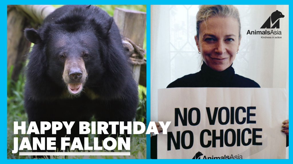 AnimalsAsia's tweet photo. Happy Birthday @JaneFallon2 from everyone at Animals Asia and your beautiful bear, Jane! 😍 Thank you for raising your paw and promising there'll be #NoBearLeftBehind as we #EndBearBileFarming in Vietnam forever! 🐾 Join Jane: https://t.co/LbfSqUZpwf #Bear  #KindnessInAction 🌙🐻 https://t.co/nlybYN6zdo