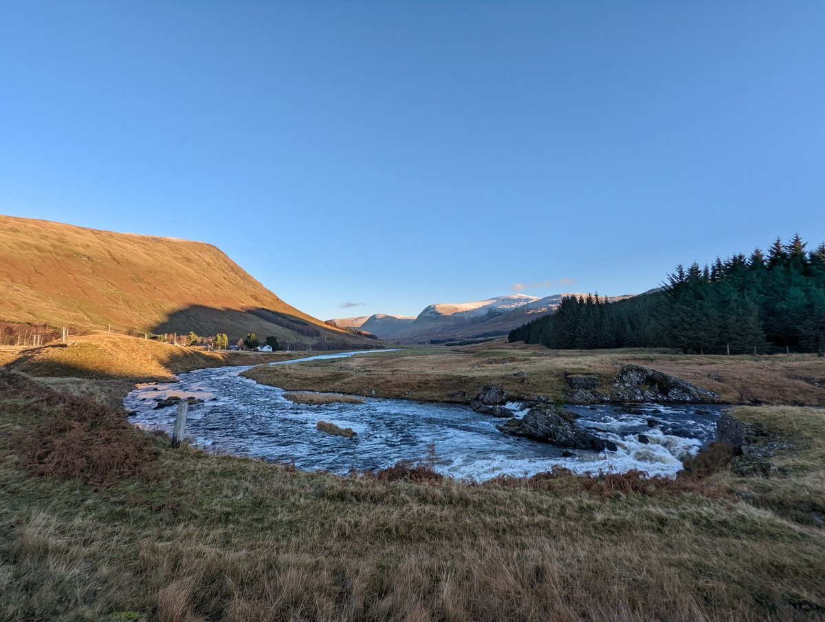 Fat Bike Farm tweet media