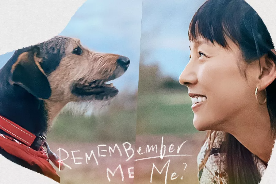 SoompiSpanish's tweet photo. #LeeHyori sonríe con felicidad y júbilo cuando se reúne con un perro que ayudó en posters de “#CanadaCheckIn” https://t.co/gwDk4nxQDg https://t.co/ukllavxMhj