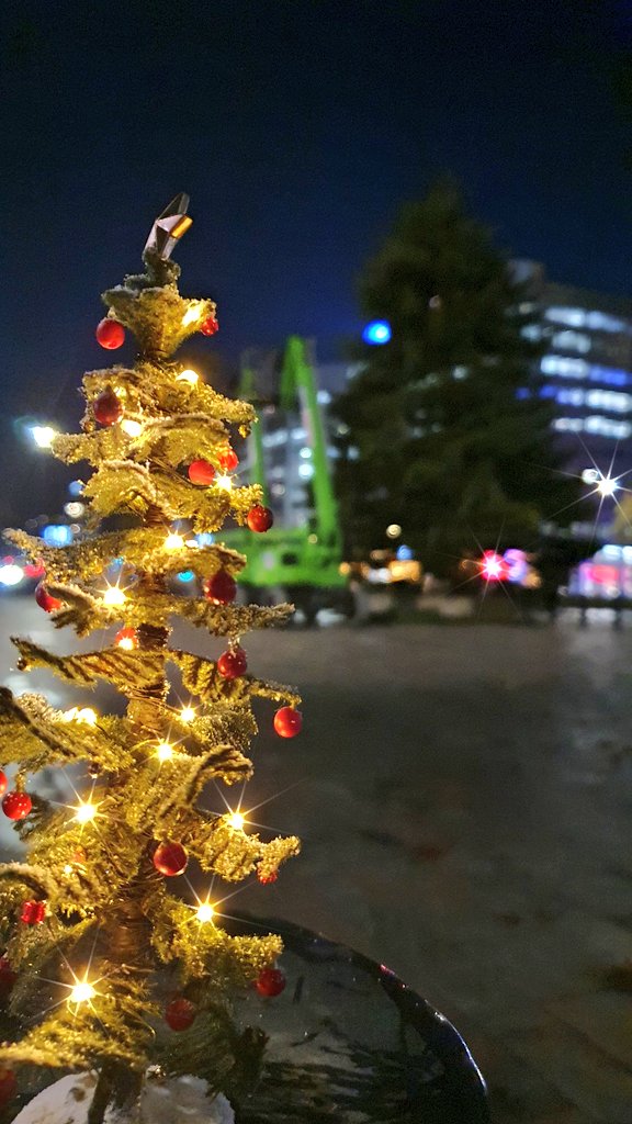 Maikel Coomans tweet media