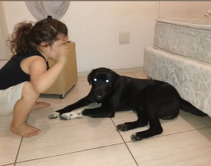 Leandro Abreu tweet media