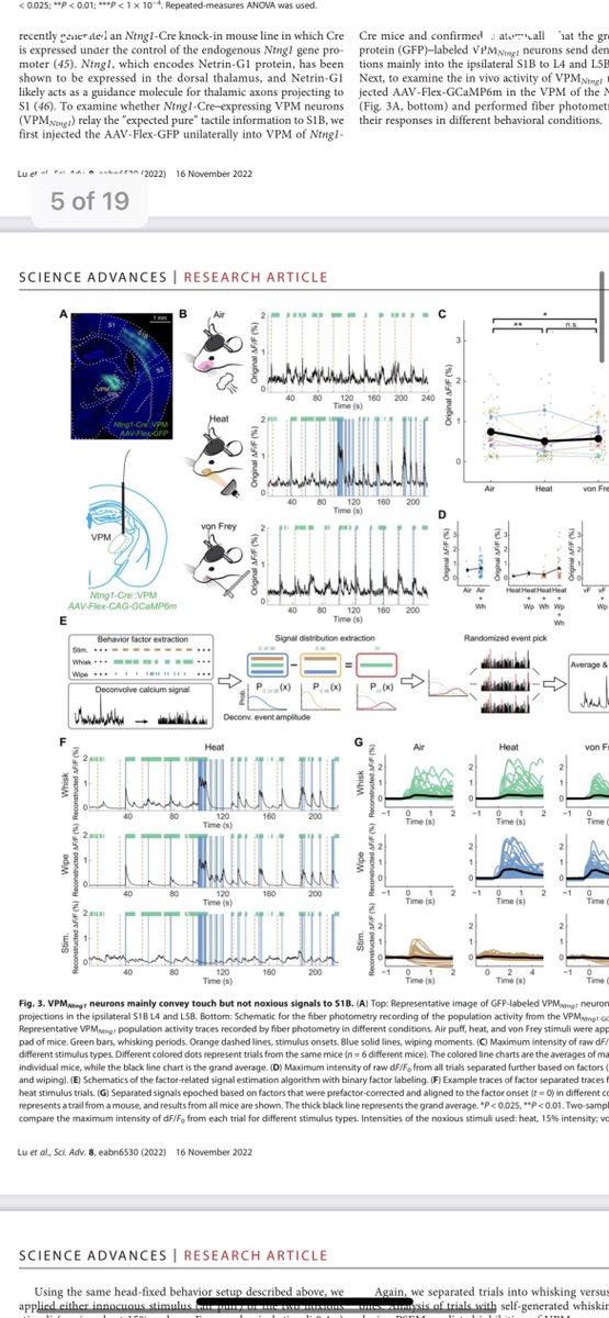 YanniRwd's tweet photo. Congrats!!! Prof. Fan Wang from MIT newest published article. https://t.co/UNGPq9T9H1  
Welcome to check with RWD to learn more of RWD fiber photometry system.🐭🧠 https://t.co/1DJ997w3f1