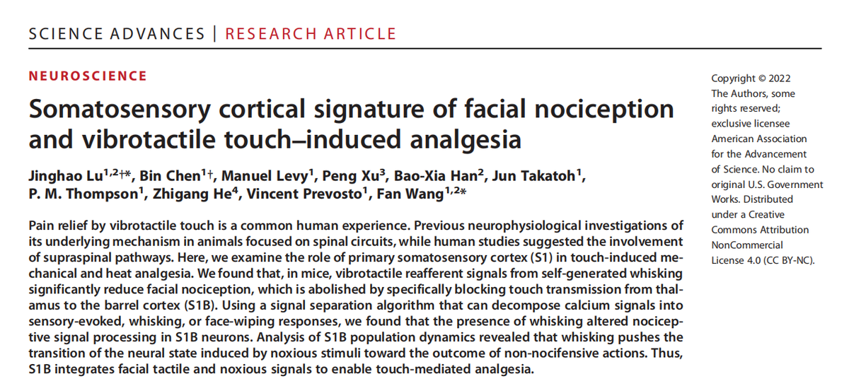 YanniRwd's tweet photo. Congrats!!! Prof. Fan Wang from MIT newest published article. https://t.co/UNGPq9T9H1  
Welcome to check with RWD to learn more of RWD fiber photometry system.🐭🧠 https://t.co/1DJ997w3f1