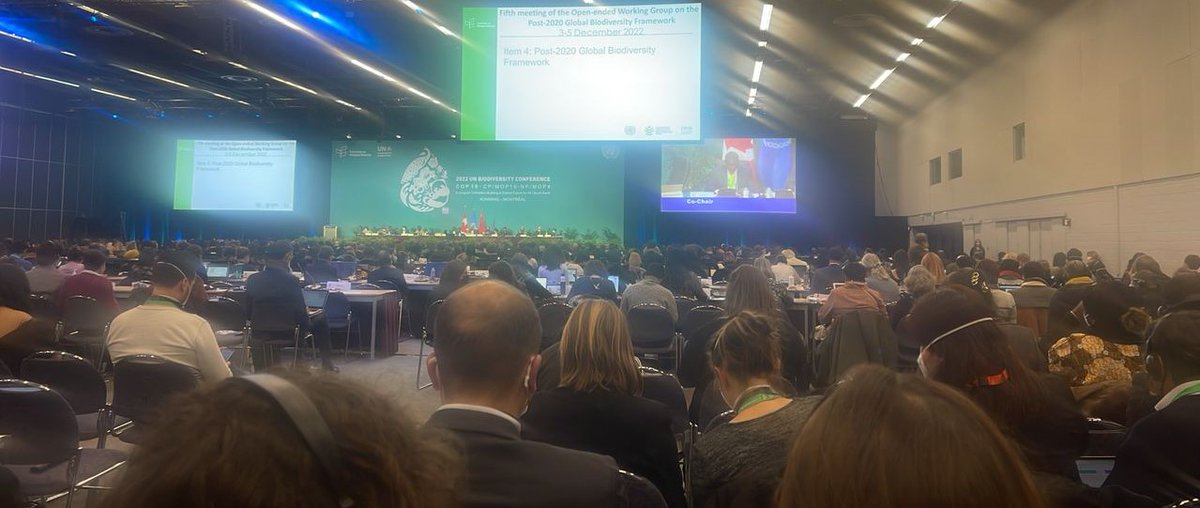 TropicalBiology's tweet photo. The #CBDCOP15 is finally happening and we are proud that @TropicalBiology  #africanalumni have joined global leaders in this important conversation on the future of biodiversity conservation. Well done @nnoko_harrison 
#investinginpeopleforconservation https://t.co/6Nup9GMfxD