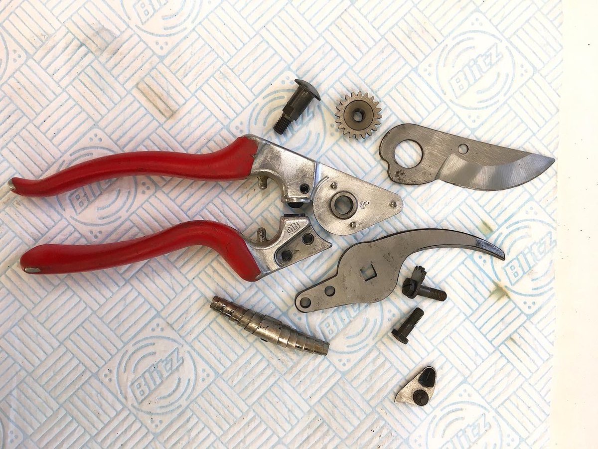 DHgardening's tweet image. Lots of handy tips in this week’s @GardenNewsmag I am servicing #secateurs Spending a bit of time looking after your #tools #gardeningtools will #savemoney #gardening And it’s a very therapeutic task. Enjoy #gardener #gardenerslife