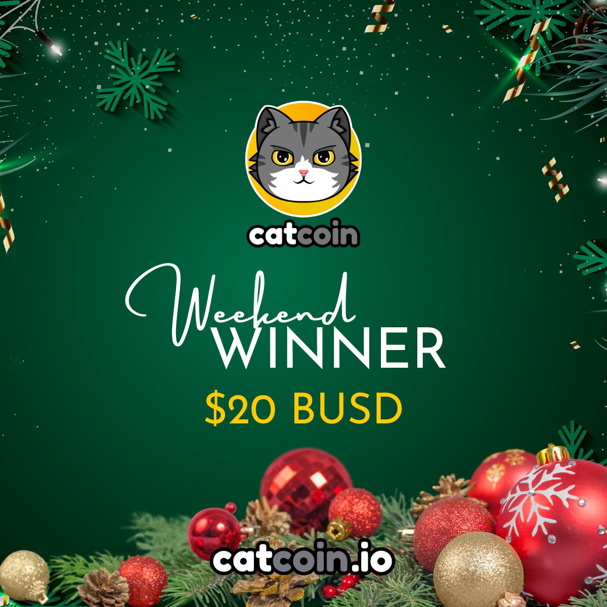 officialcatcoin's tweet photo. It's time for a new Weekend Winner! 

Take part in this $20 giveaway by: 
• Following @officialcatcoin
• Retweeting
• And commenting 
#Catcoin #CatcoinArmy #BUSD 

Ends December 10 at 8AM UTC https://t.co/vZrdvgg3lm