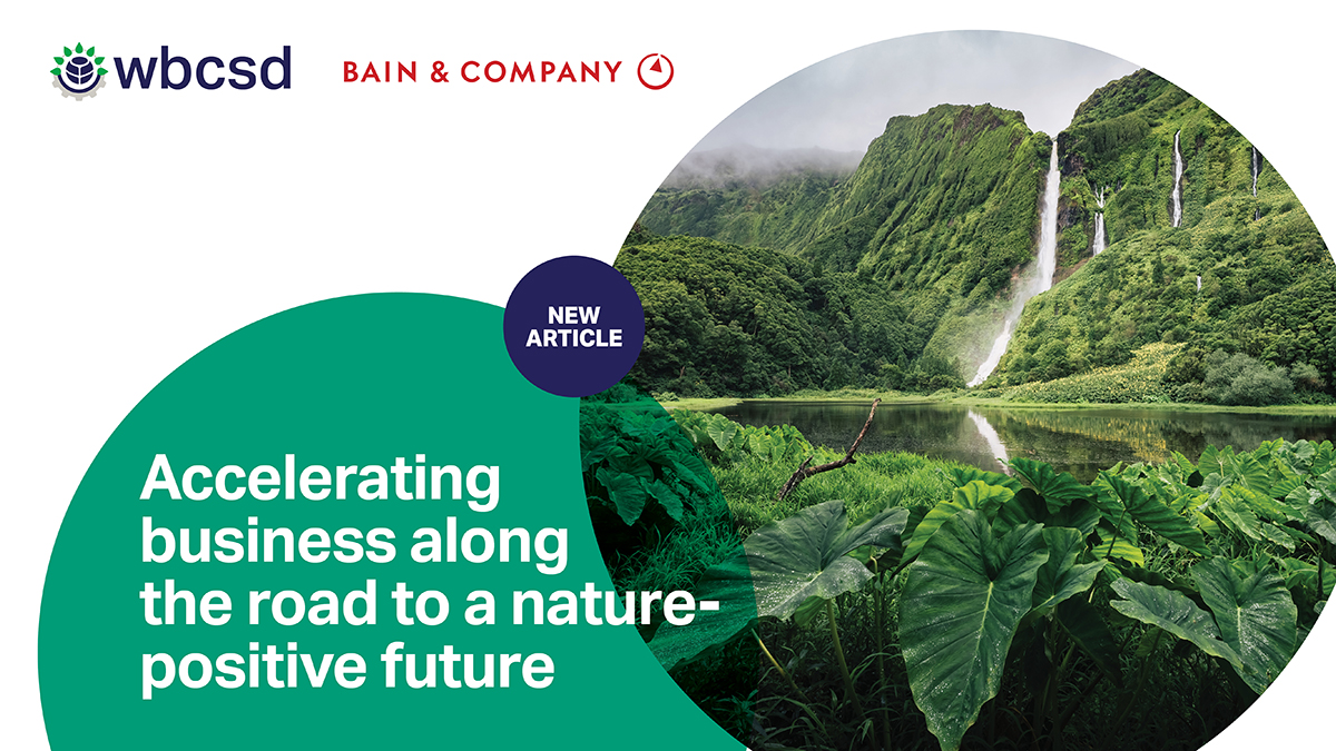 DianeBHoldorf's tweet photo. While negotiators hammer out a new Global Biodiversity Framework during #COP15 business is developing plans and guidance to halt #nature loss and restore ecosystems while strengthening resilience. Find out more here: https://t.co/wRtKoXQBFU https://t.co/rhit1sai1Z