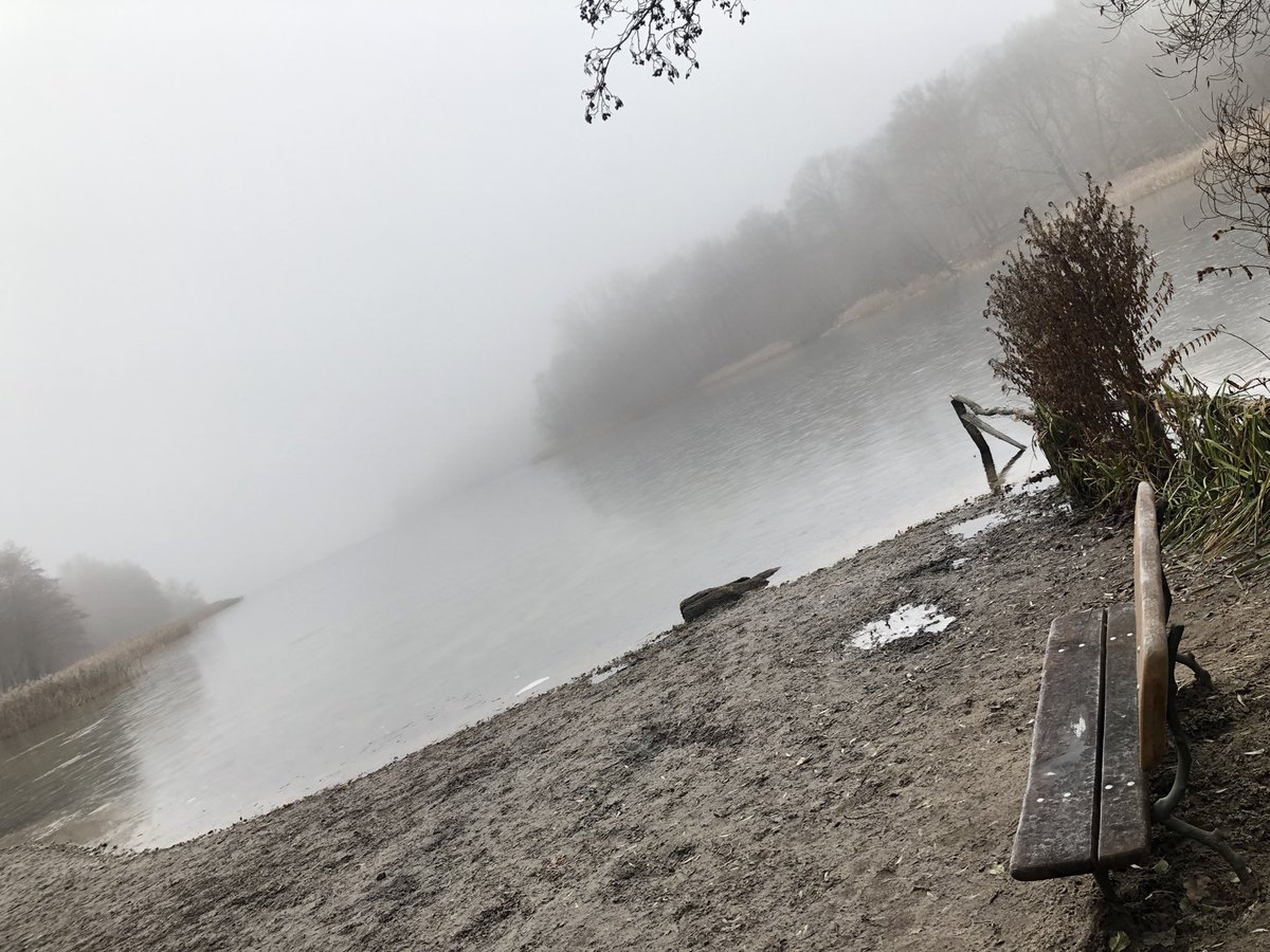 Mutterpflegerin's tweet photo. …manchmal fühlt sich eine Beziehung genau so an. vernebelt. vereist. kalt. aber wir dürfen nicht vergessen…darunter fließt Lebendigkeit…und alles ist in Verbindung. https://t.co/ACwBRN67tB