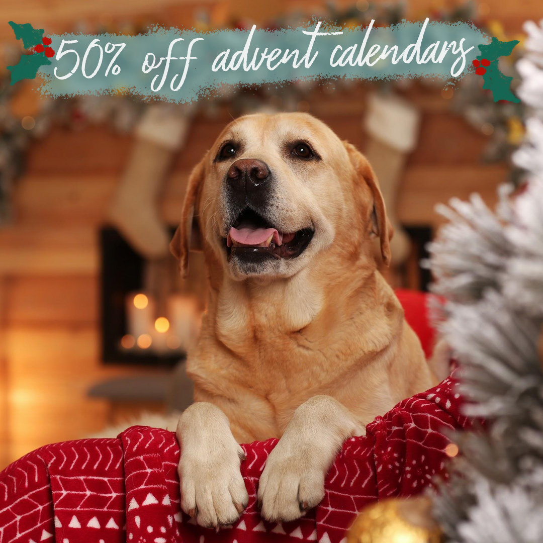 50% off Fish4Dogs advent calendars!

jurassicbark-online.co.uk/collections/ch…