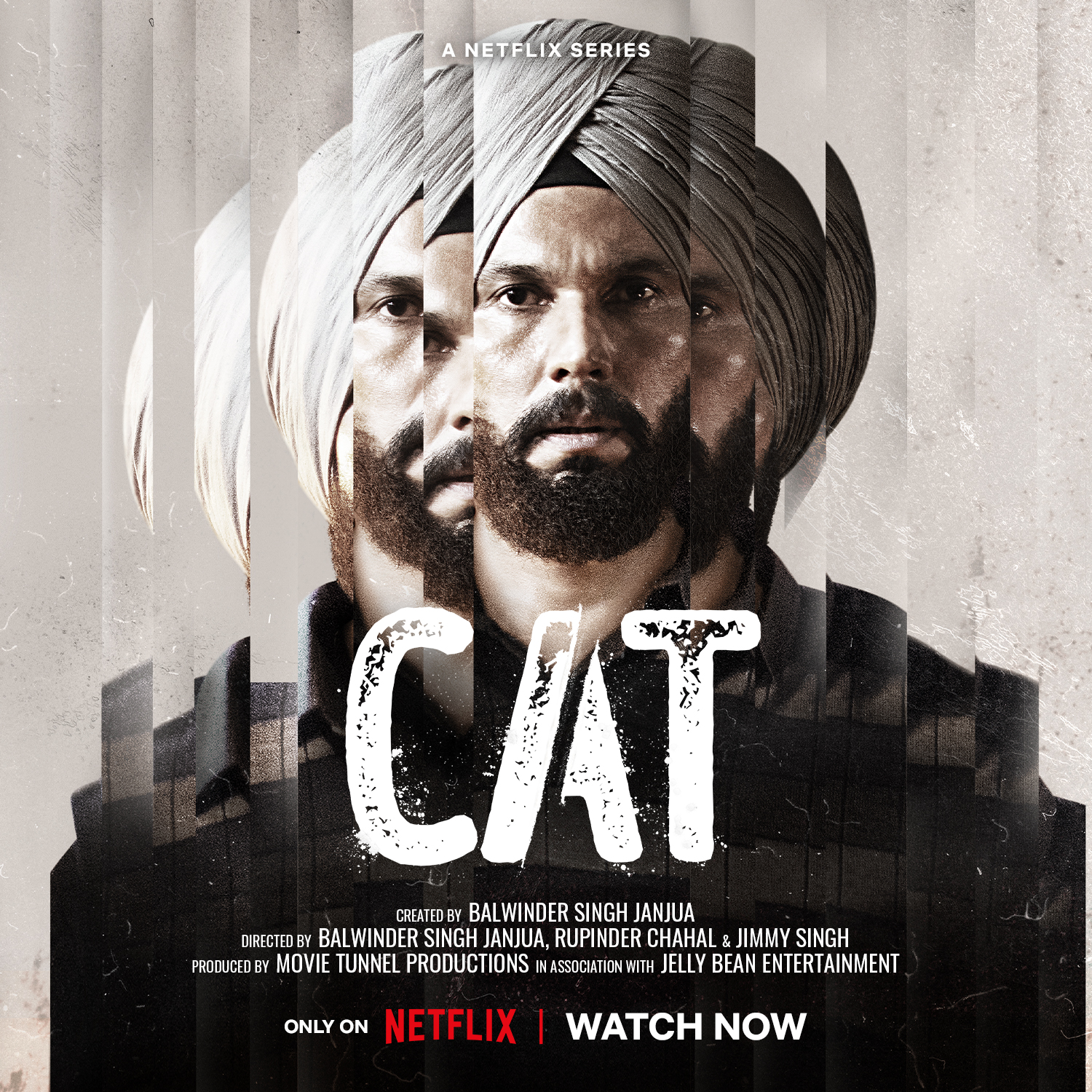 Netflix India on X In the world of CAT everyone is chasing something. But how far can they go for it CAT is now streaming only on Netflix in Punjabi and Hindi