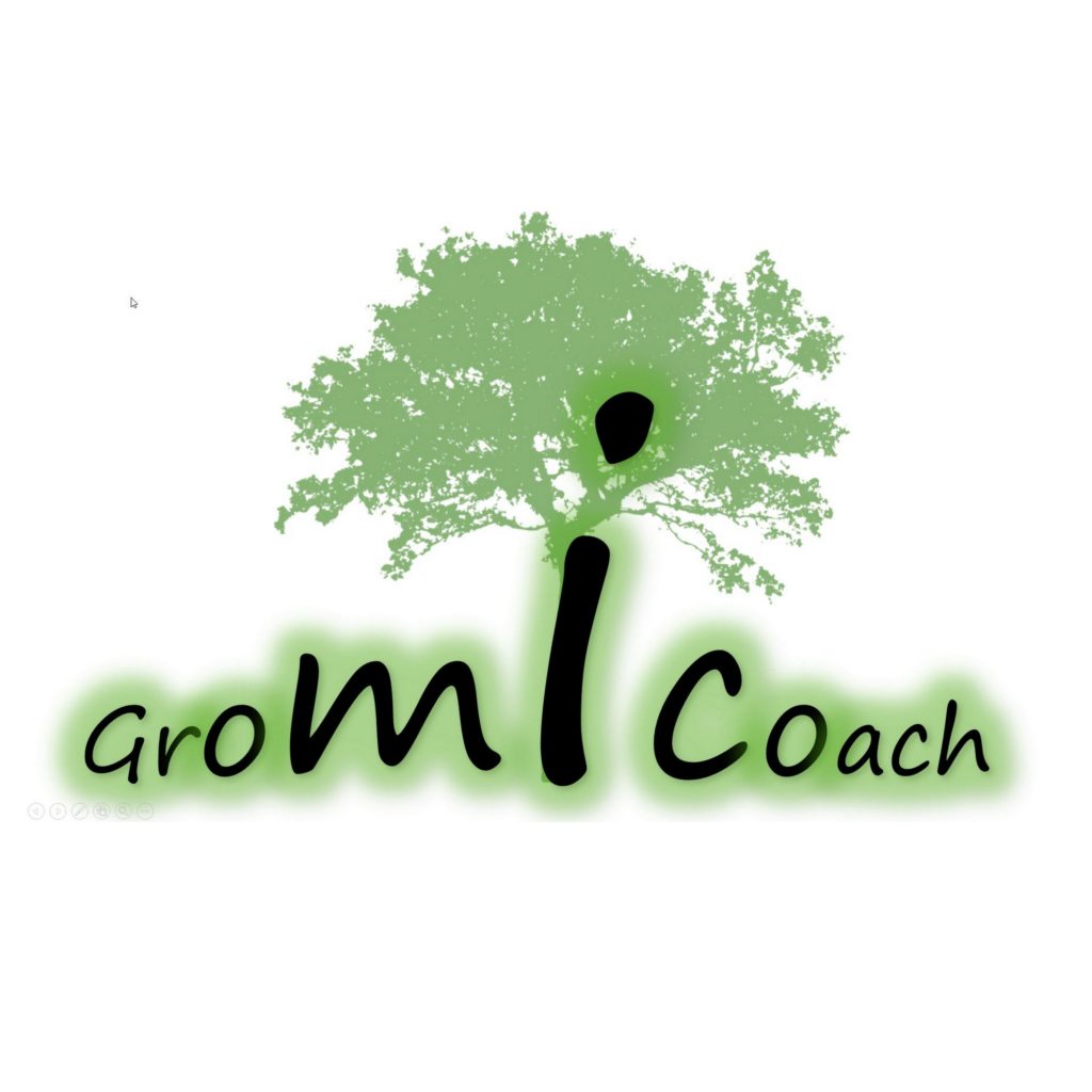 HBweek's tweet image. En ook dit jaar danken wij Rudo Van Overbeke van @gromicoach  opnieuw voor het sponsoren van de Week van de Hoogbegaafdheid!
growth-mindset.be