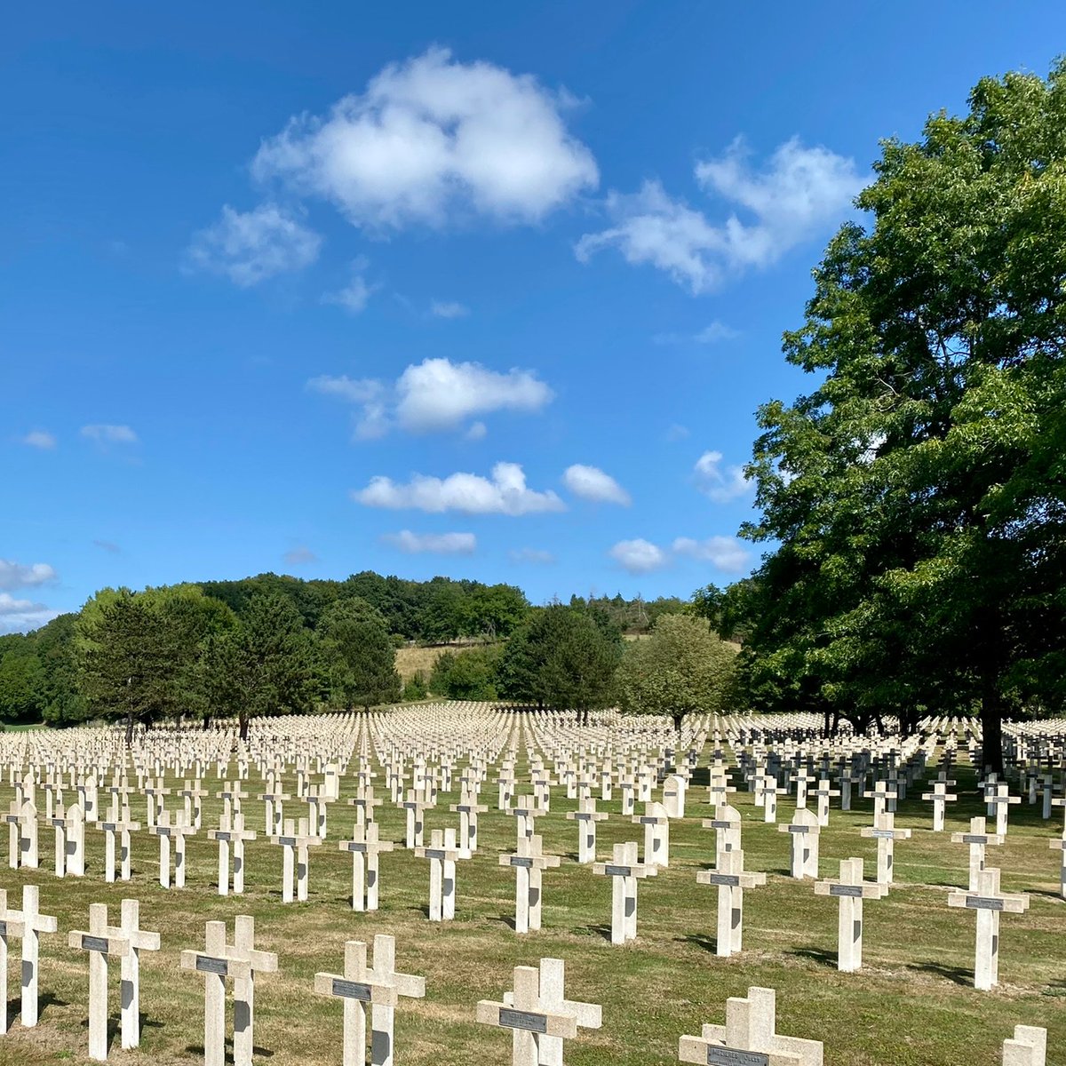 Ri315e's tweet image. #frontlinefriday

Where are we today?