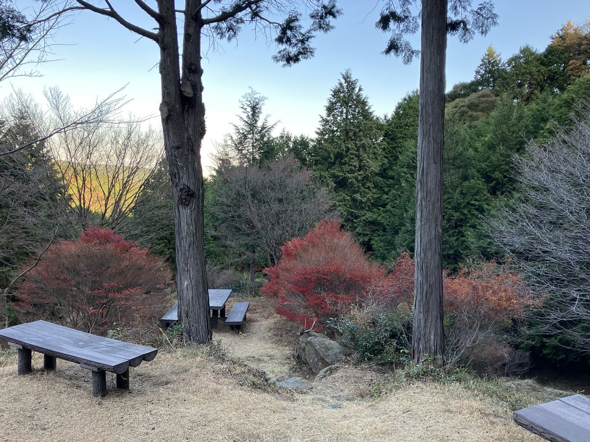 久々に宮路山の朝日を浴びた
紅葉は🍁峠越え