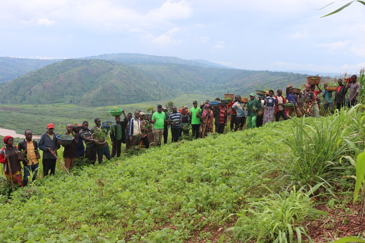 UNGBertrand's tweet photo. #Community in landscape restoration promotes sustainability &amp; suitable diverse species are crucial for soil and #bioconservation, thereby ensuring #ecoservices and building #resilience of local communities to climate change. 
@TerraFund for #AFR100 @KireheDistrict @ARCOSNetwork https://t.co/w6Kas5B2pg