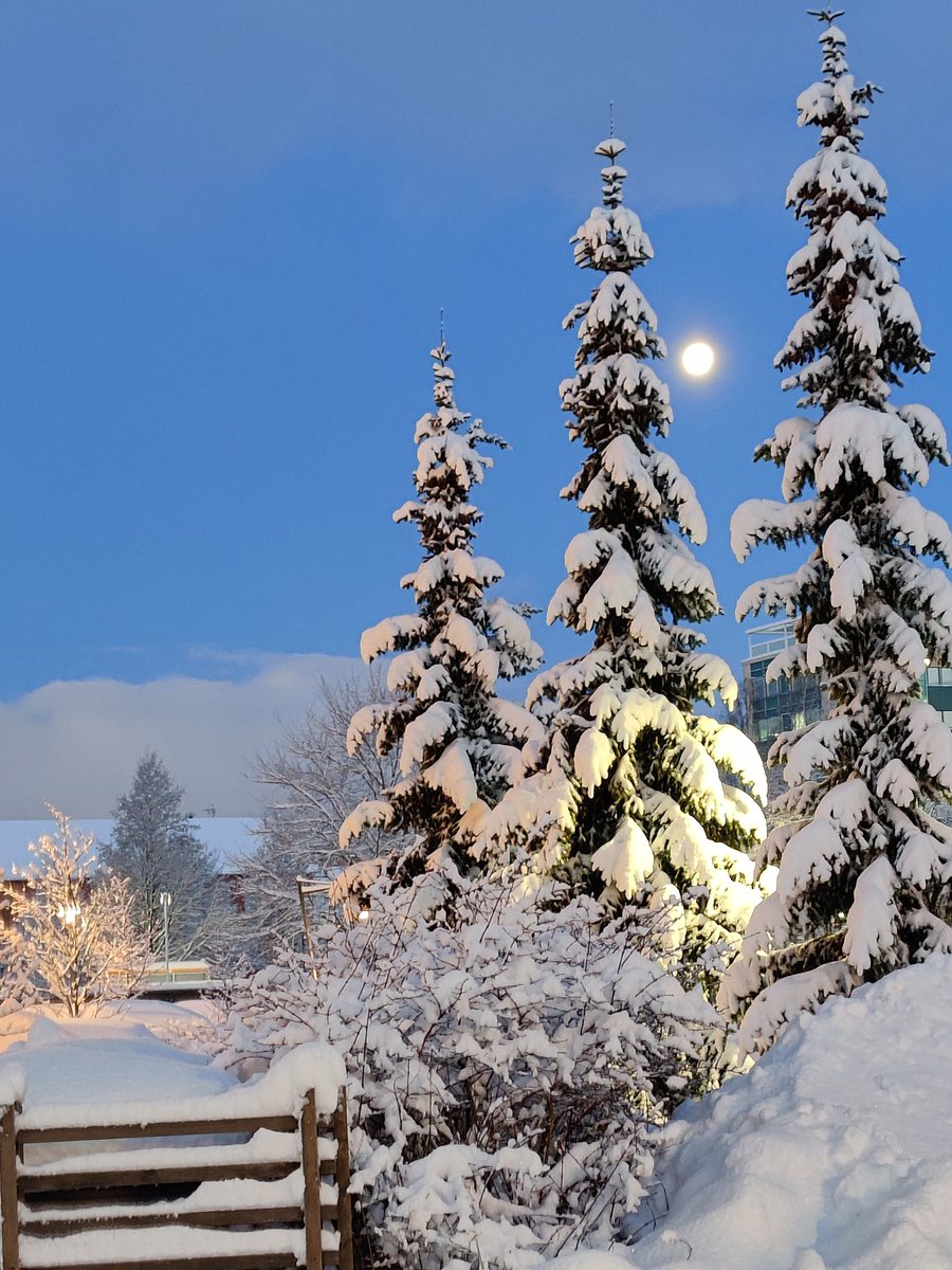 Eija Jokitalo tweet media