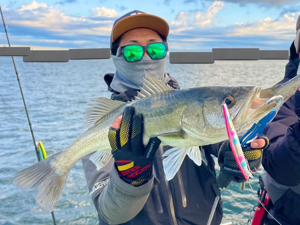 blueseabass's tweet photo. みんなで仲良くジャーキング👍

ブローウィン所持率100%なの凄い。

#船宿吉久
#BlueBlueプロガイド
#アングラーズマイスター
#差し入れありがとうございます🍮 https://t.co/TRnO93bKjq