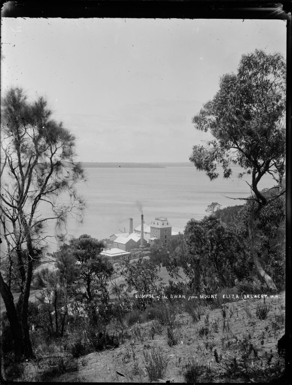 ColourMePerth's tweet photo. The Swan Brewery glimpsed through trees from Mount Eliza (Kings Park), c1900. Melville Waters sprawling behind. #Perth #PerthHistory #Colourised @ameliabroun7 @heritage_ppl @StateHeritage @dan_pastorelli @lucieboots @JohnDay_2 @kirovkate https://t.co/nCuyegkRVI