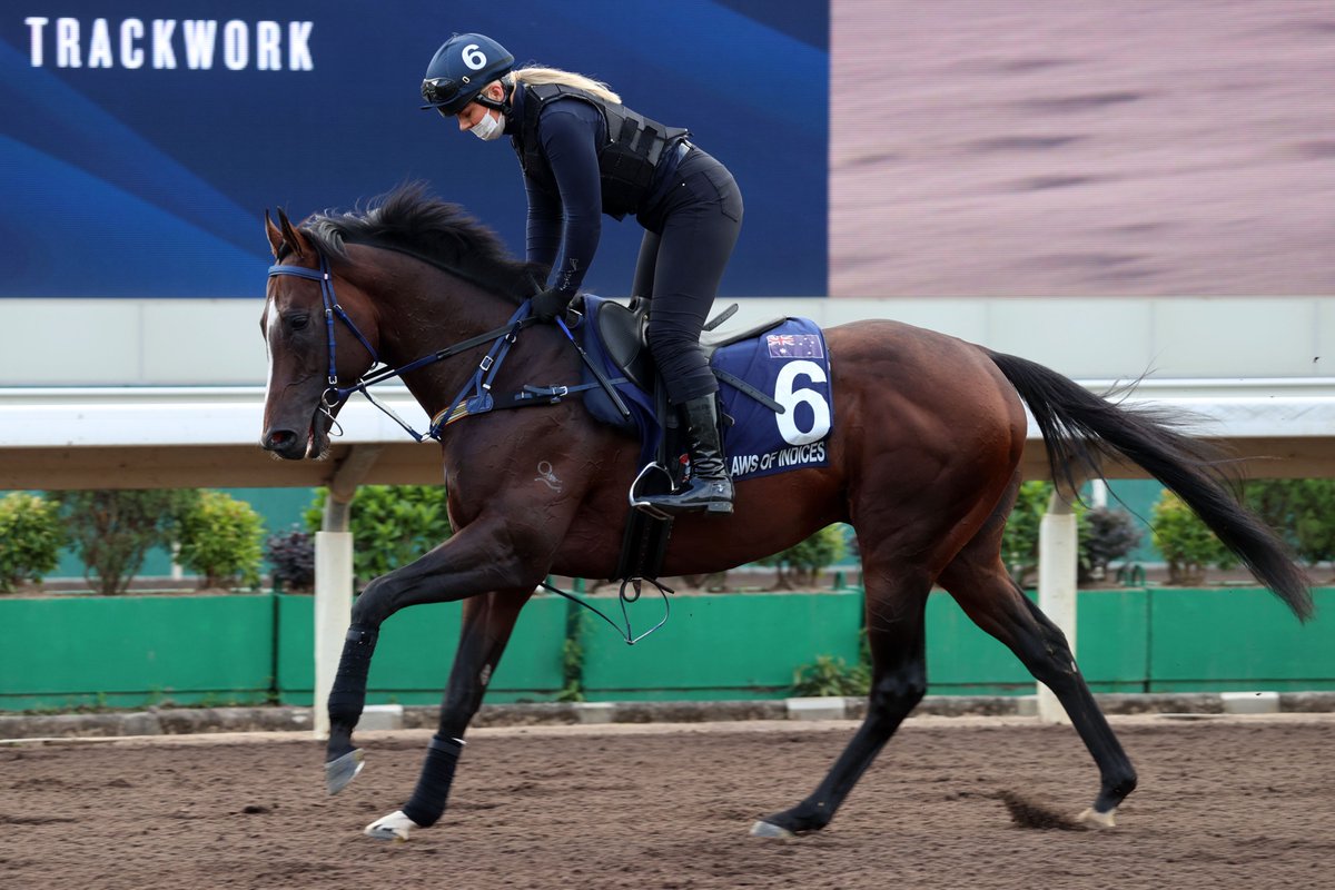 .<a href="/LONGINES/">Longines Watch Co.</a> #HKIR the latest global adventure for Neasham. #HKracing 

<a href="/mp_horseracing/">Maddy Playle</a> writes. 

Read here 👉 racingnews.hkjc.com/english/2022/1…