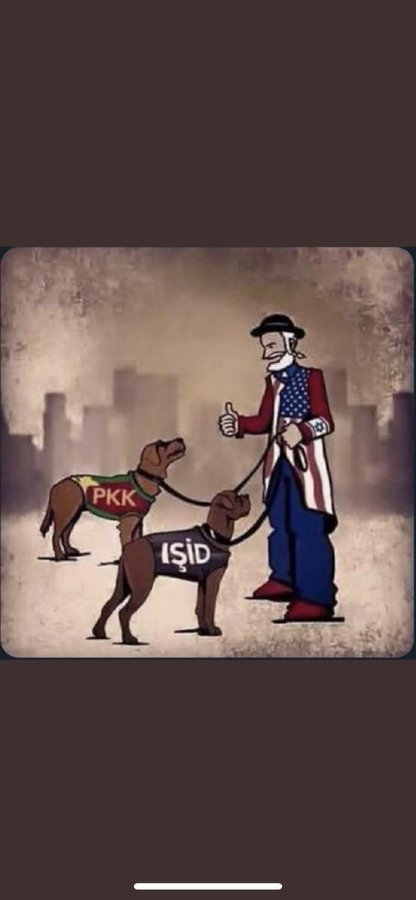 Petek Coşkun (@petekcoskunn) on Twitter photo 