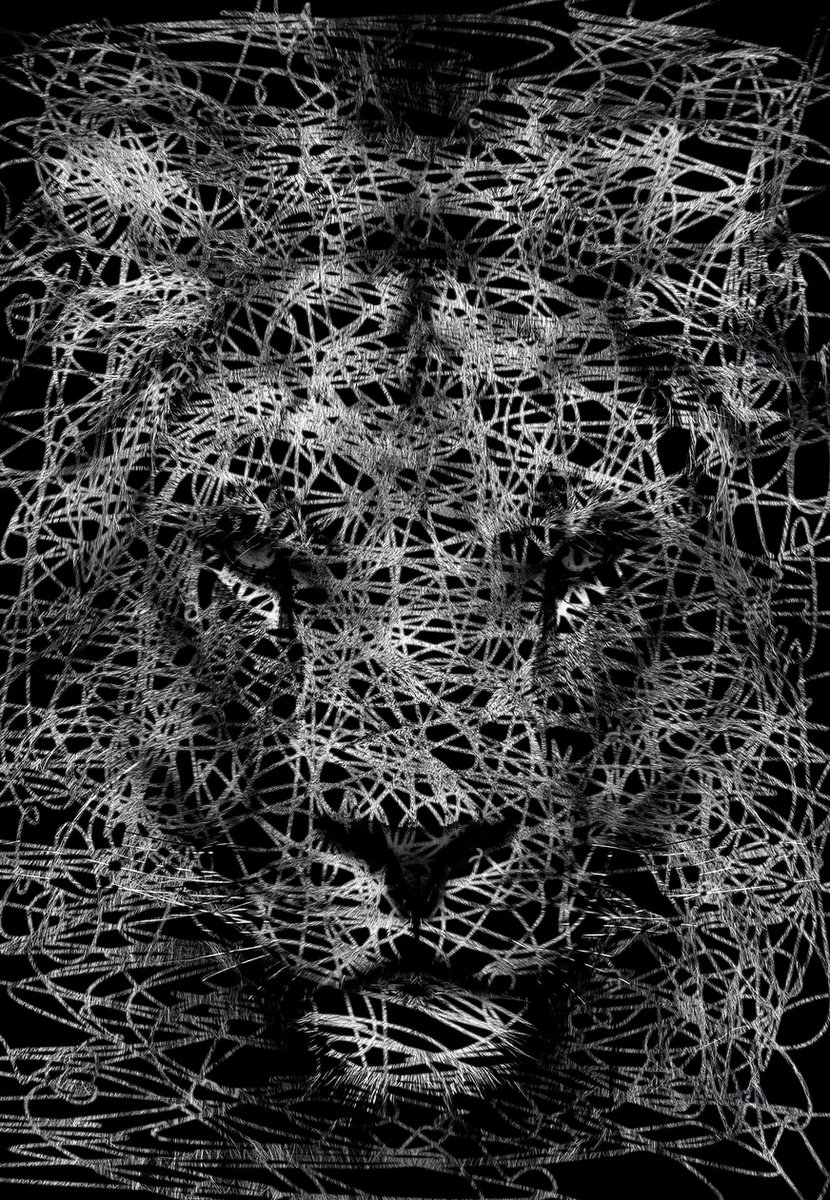 linktr.ee/almogaver_nft

#NFT #NFTCommunity #NFTCollection #nftart