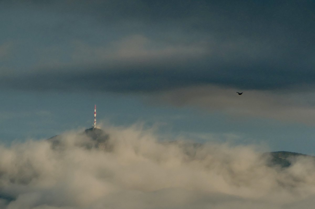 BeTournier's tweet photo. 📸 Le Mont Saint-Baudille, ce matin depuis Tressan, tente de s’extirper des nuages #occitanie #herault #seranne https://t.co/2x9UU5A97Q