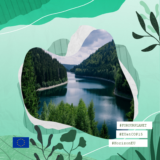 We need to protect and restore our biodiversity #ForourPlanet 🌍🌿

At #Cop15, 🇪🇺funded projects <a href="/BiodiversaPlus/">Biodiversa+ (European Biodiversity Partnership)</a>, <a href="/EuropaBon_H2020/">EuropaBON</a> &amp; <a href="/NaturaConnect/">NaturaConnect</a> are presenting their solutions  #ForNature &amp; #biodiversity

📅11-12 December
📍 Montreal, 🇨🇦

Find out more👉bit.ly/3uEXOmp