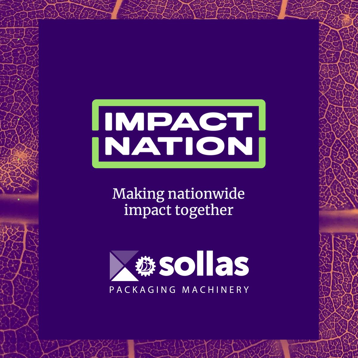 Sollas initiated a project together with Impact Nation and ABN AMRO in search for more sustainable packaging and bundling solutions. Together we want to take a next step in our vision to create sustainable wrapping solutions.

#impactnation #abnamro #sustainable #packaging