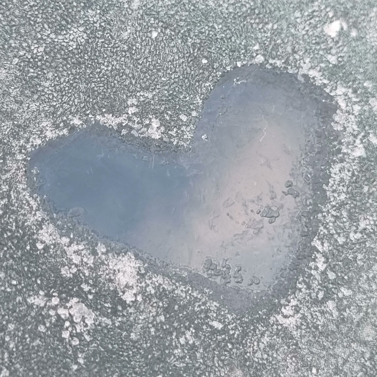 DevComsTogether's tweet photo. Pose the following question to yourself - what are you grateful for today? Is it the change in the weather, the morning sunrise or the new day. Devon woke up to a cold morning and we would love to see your pictures from where you live. 

#Devon #WellbeingWorks #photography https://t.co/qGZ3kcGR1E