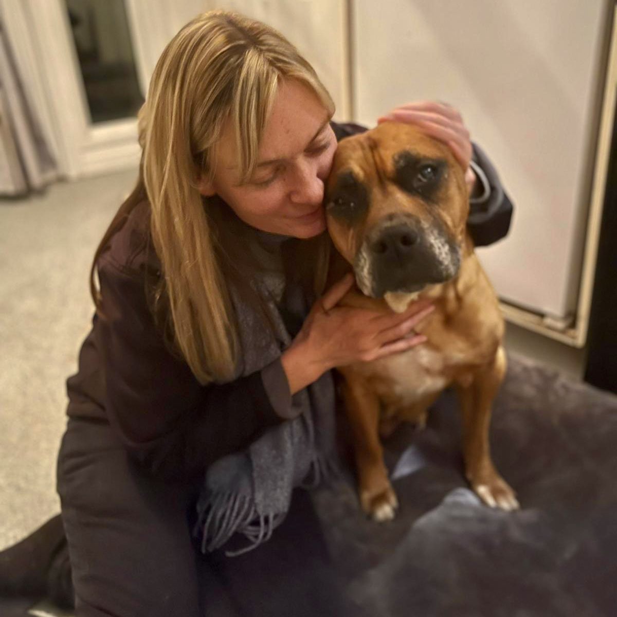 Dogs 4 Rescue on Twitter "The moment Eddie knew he was safe 🥰 Noone came for him when he found