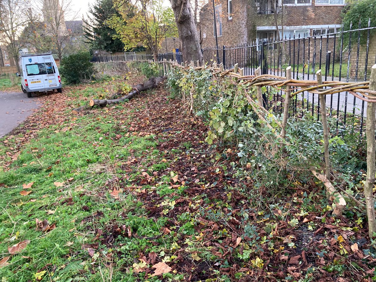 Lambeth TCV tweet media