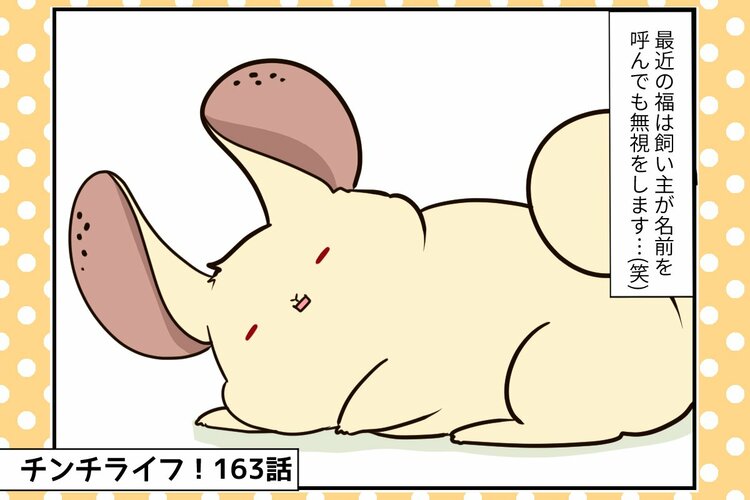 チンチライフ更新されてます🙆✨

【チンチライフ第163話】元保護チンチラの福くん、足がガサガサに。保湿してあげたい祭さん https://t.co/X4qwFjtOTl 