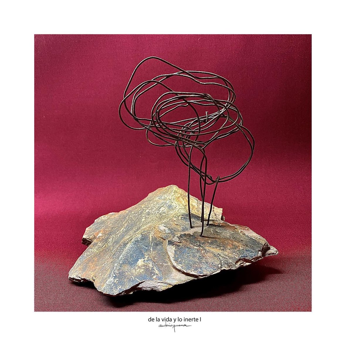 antonioguerra3's tweet photo. Creía firmemente en la semántica de lo inanimado. #assemblageartist #assemblage_art #collageart #assemblageart #ensamblajecolectivo #collageartists #foundobjects #mixedmedia #mixedmediaartists #assemblagesculpture #objetosencontrados #ensamblajes #objetosarte #arte https://t.co/LangcDwqV8