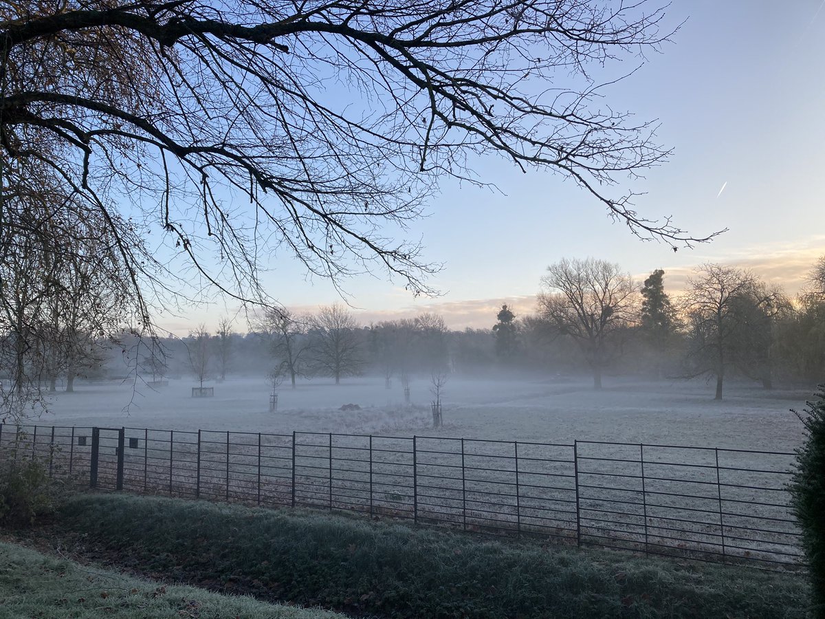 University of Oxford tweet media