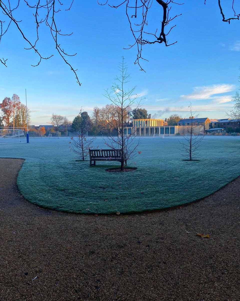 University of Oxford tweet media