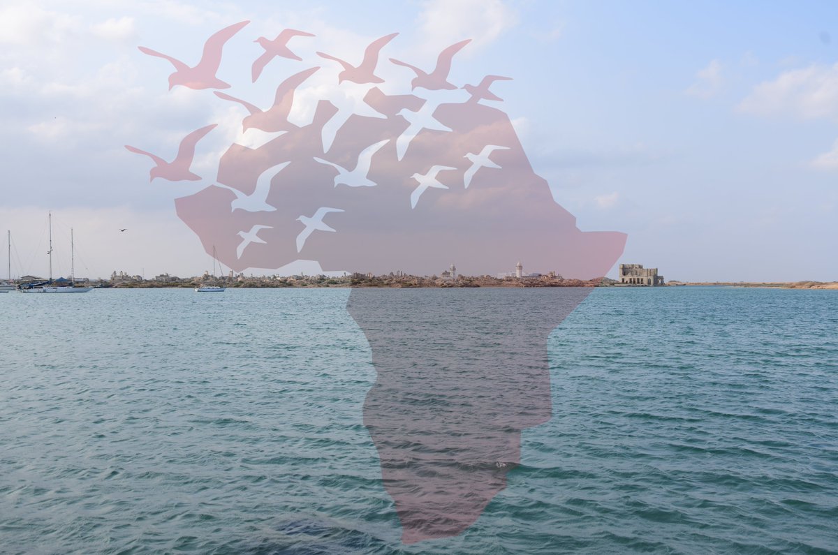 African_Voices's tweet photo. African Hidden Voices visits Saukini Island, located on the red sea in North Sudan.
Suakin or Sawakin is a port city in northeastern Sudan, on the west coast of the Red Sea.
#UnmaskingAfricanTruths #ExploringSudan #TravelingAfrica https://t.co/1VhNmZprYM