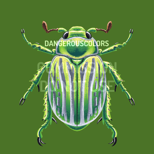 chrysina gloriosa! third completed part of a bigger cmm still in progress <3
#entoart #bugart