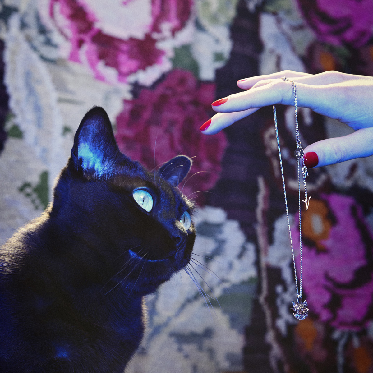 #GherardoFelloni’s Psychedelicat jewellery collection recalls the hypnotic vibe of the feline. See more on rogervivier.com