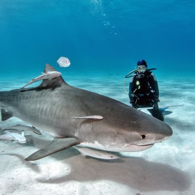 Visit Addu tweet media