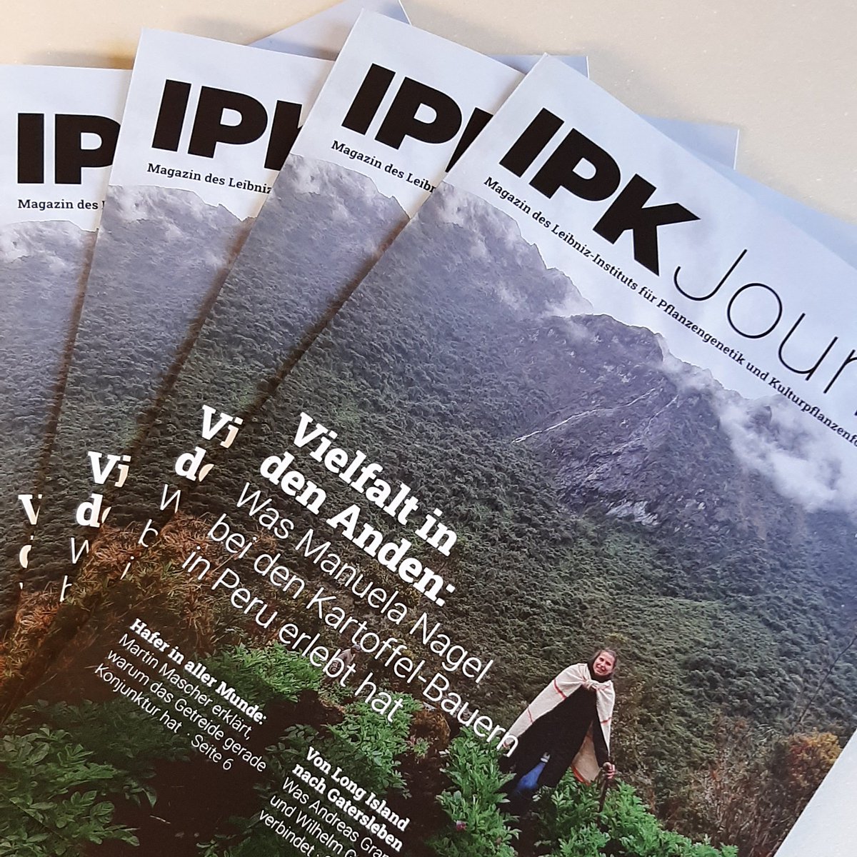 LeibnizIPK's tweet image. Das neue IPK-Journal mit vielen Artikeln rund um das @LeibnizIPK ist da! @Manu81528677 berichtet von ihrer Reise in die Anden. Weitere Beiträge drehen sich u.a. um @murukarthickj @ForscherRobert @AmandaSomos @Nils__Stein & @AndreasGraner.
➡️Zum Journal: bit.ly/3Hne6aV